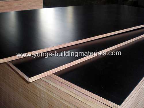 Waterproof film faced plywood for Construction