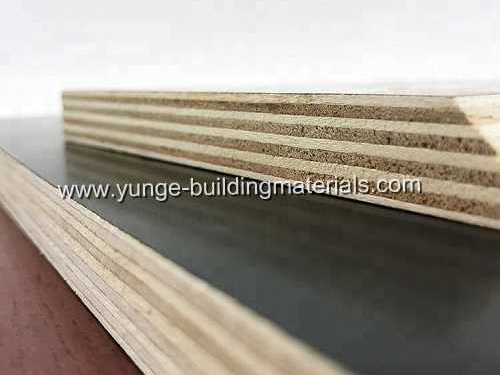 Film faced plywood/Marine plywood/Commercial plywood with Film Faced for Construction