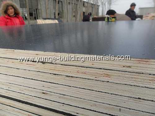 Film faced finger joint laminated board for construction usage