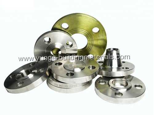 Carbon steel Stainless steel ANSI Forged Pipe Flange