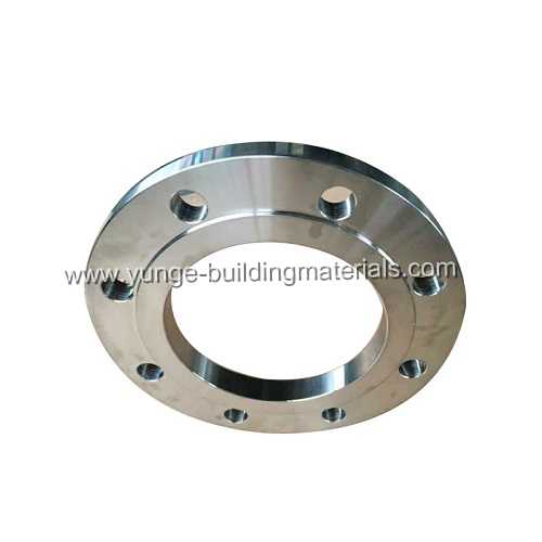 Carbon steel Stainless steel ANSI Forged Pipe Flange