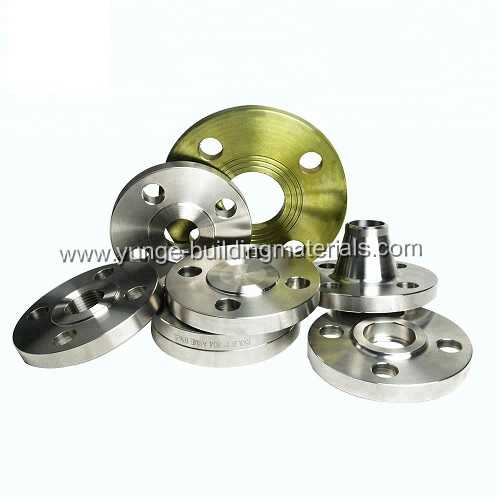 Carbon steel Stainless steel ANSI Forged Pipe Flange